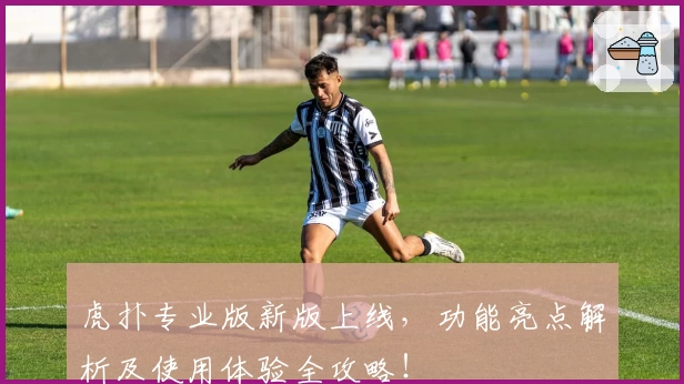 虎扑专业版新版上线，功能亮点解析及使用体验全攻略！